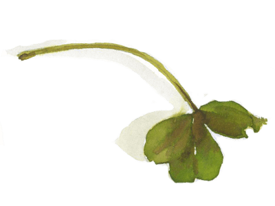 Lesní ateliér