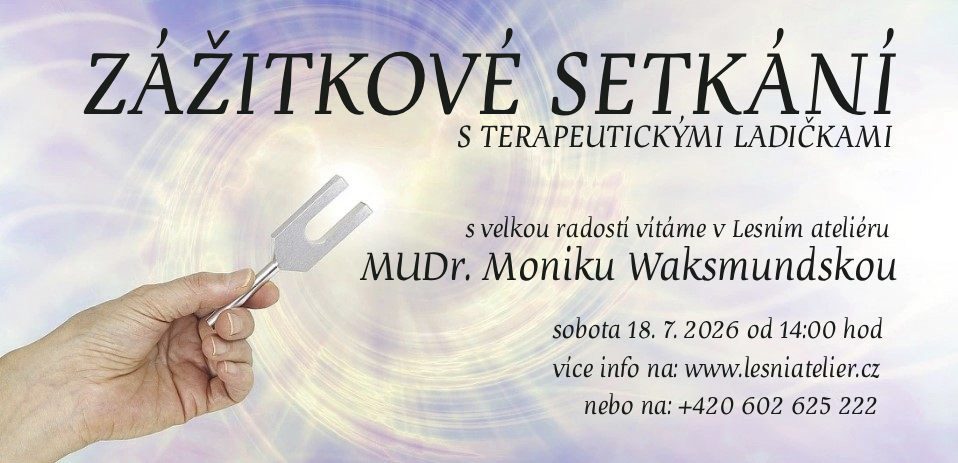Newsletter - Monika Waksmundská